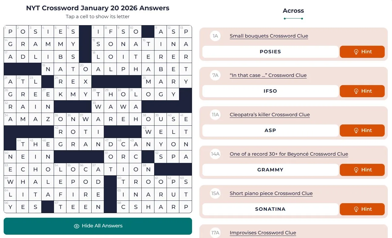 NYT Crossword jan 20 answers NYT Crossword Analysis (Jan 20, 2026): A Word with Many Meanings!