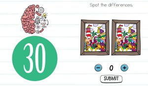 brain test level 30
