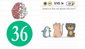 brain test level 36