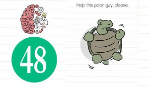 brain test level 48