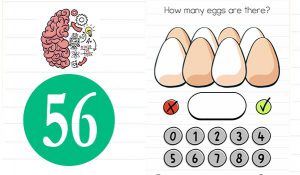 brain test level 56