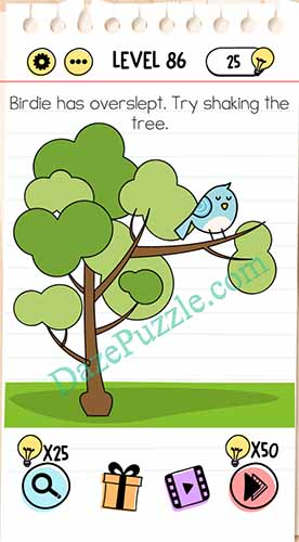 birdie has overslept brain test
