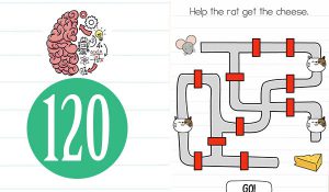 brain test level 120