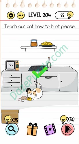 brain test level 204 answer