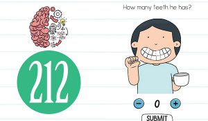 brain test level 212
