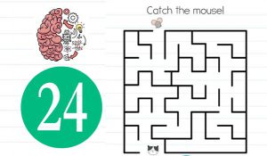 brain test level 24