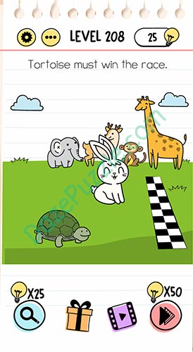 tortoise must win the race brain test
