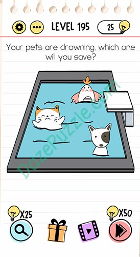 your pets are drowning brain test