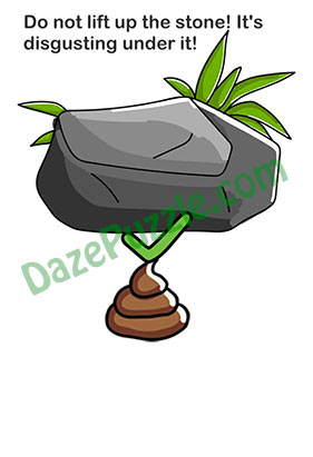 Brain Out Level 146 Answer Do not lift up the stone