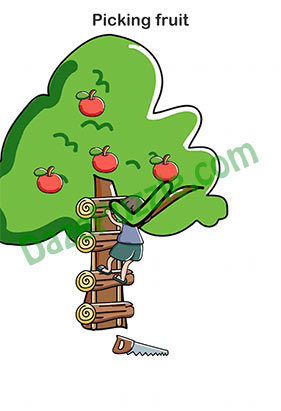Brain Out Level 154 Answer Picking fruit
