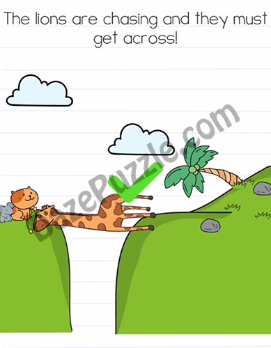 brain test 2 tom's adventure level 20 answer