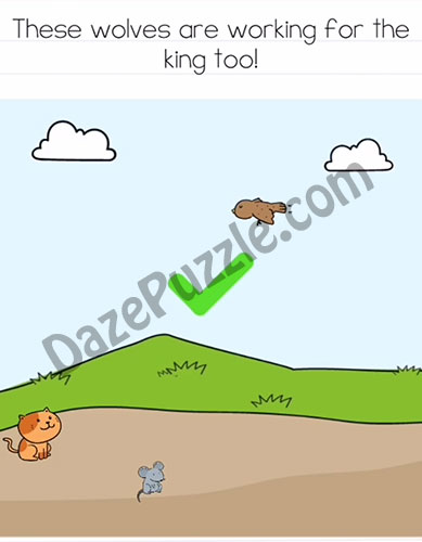 brain test 2 tom's adventure level 21 answer