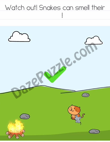brain test 2 tom's adventure level 24 answer