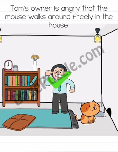 brain test 2 tom's adventure level 5 answer