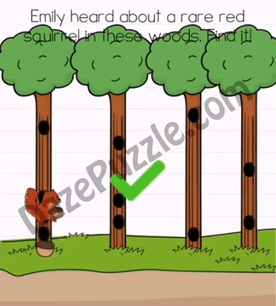 brain test 2 emily's farm level 13 answer