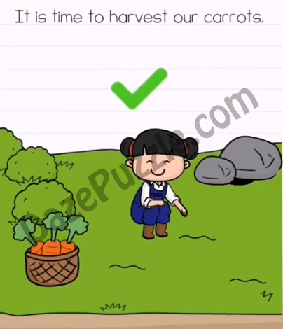 brain test 2 emily's farm level 17 answer