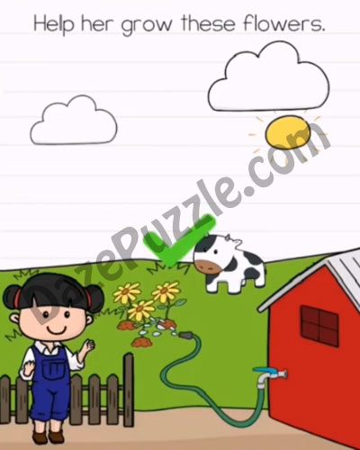 brain test 2 emily's farm level 6 answer