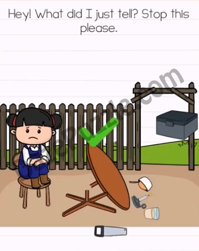 brain test 2 emily's farm level 9 answer