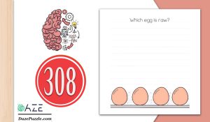 brain test level 308
