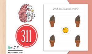 brain test level 311