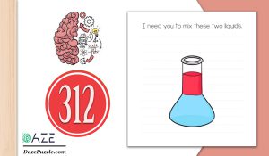 brain test level 312