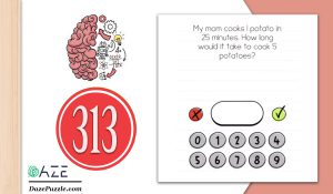 brain test level 313