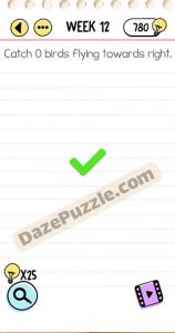 brain test week 12 answer