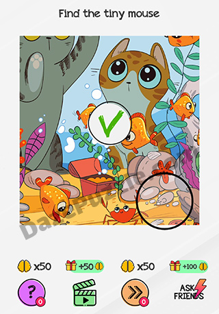 braindom level 127 answer
