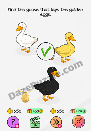 braindom level 133 answer