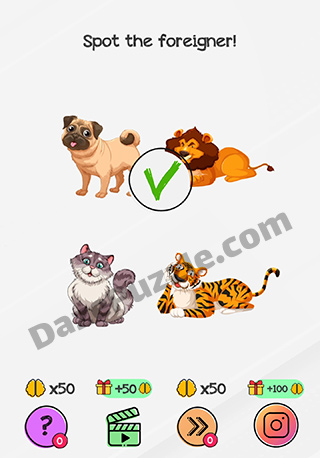 braindom level 152 answer