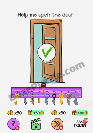 braindom level 154 answer