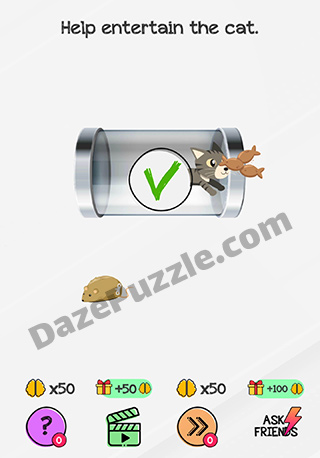 braindom level 166 answer