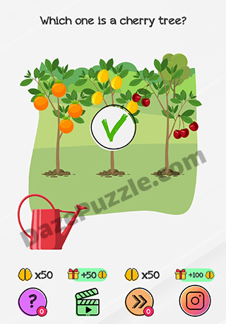 braindom level 170 answer