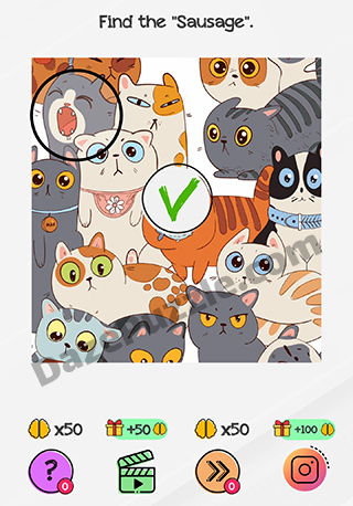 braindom level 184 answer
