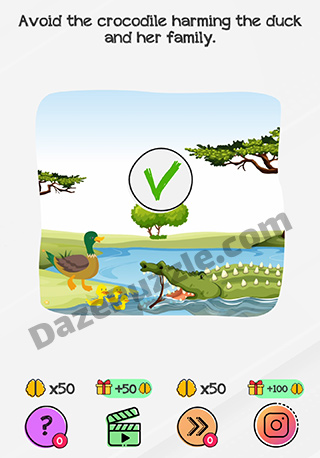 braindom level 196 answer