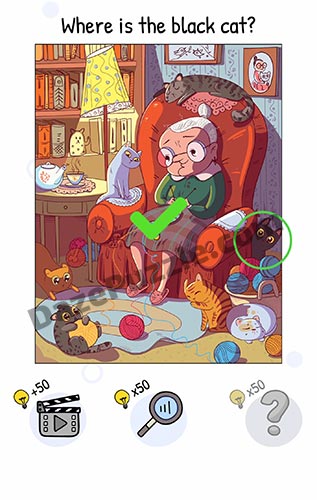 who is level 17 answer