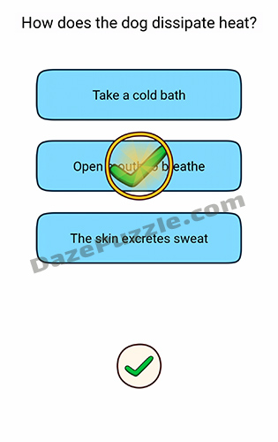 brain find level 116 answer