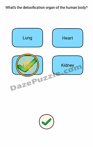 brain find level 73 answer
