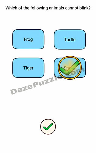 brain find level 79 answer