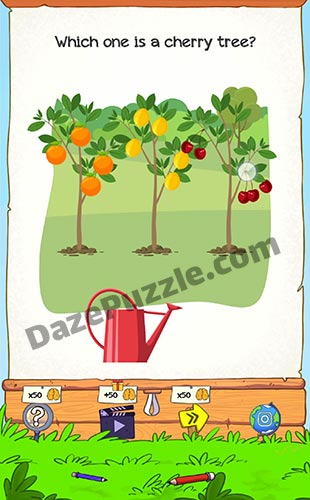 braindom 2 level 81 answer