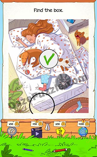 braindom 2 level 9 answer