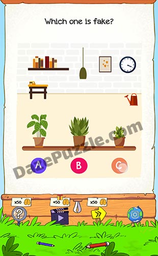 braindom 2 level 145 answer