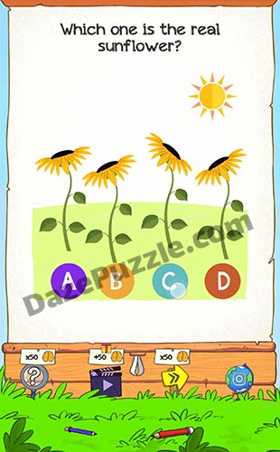 braindom 2 level 182 answer