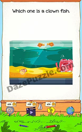 braindom 2 level 290 answer