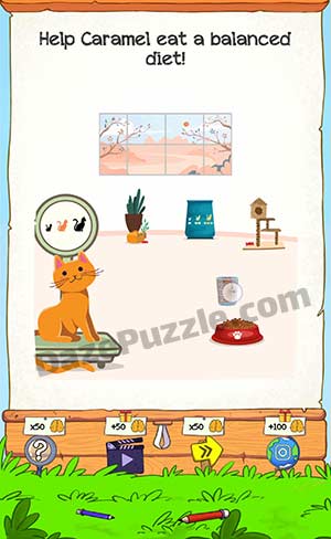 braindom 2 level 319 answer
