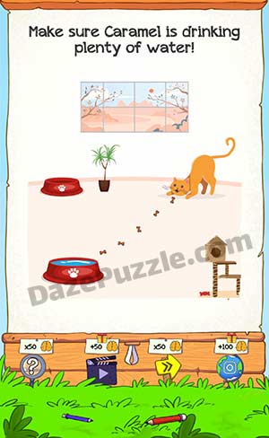 braindom 2 level 320 answer