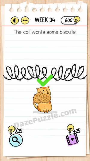 brain test week 34 answer