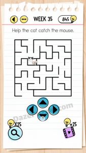 brain test week 35 answer
