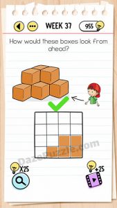 brain test week 37 answer
