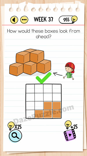 brain test week 37 answer